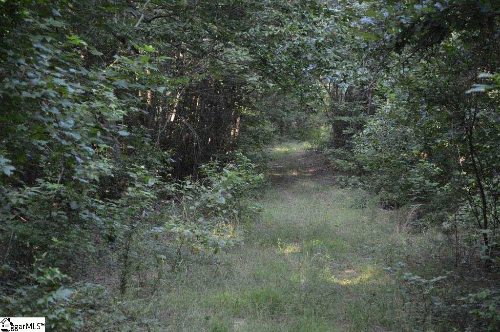 Knighton Chapel Road Fountain Inn, SC 29644 - Photo 3 of 35