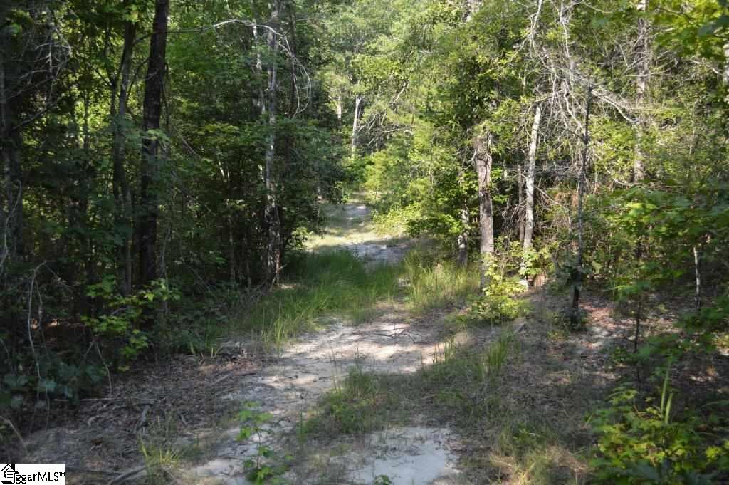 Knighton Chapel Road Fountain Inn, SC 29644 - Photo 22 of 35