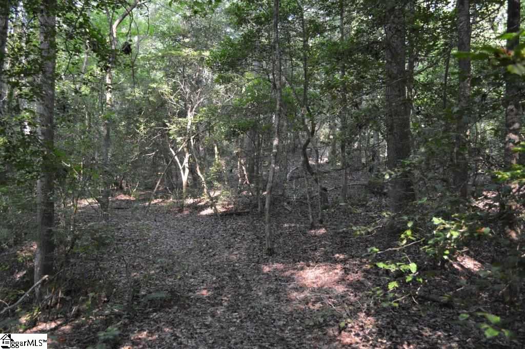 Knighton Chapel Road Fountain Inn, SC 29644 - Photo 8 of 35