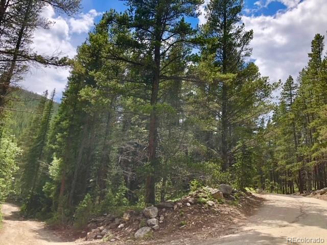 7 Rainbow Road Idaho Springs, CO 80452 - Photo 4 of 8 Gallery Image 4