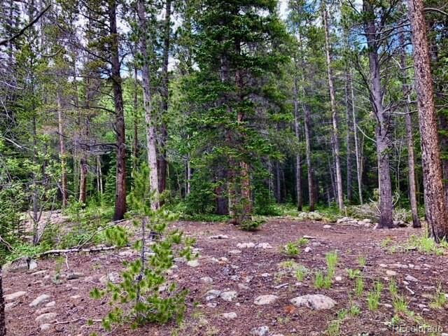 7 Rainbow Road Idaho Springs, CO 80452 - Photo 6 of 8 Gallery Image 6