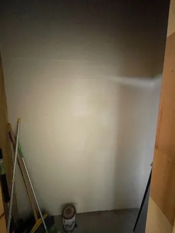 a view of a yard with plants