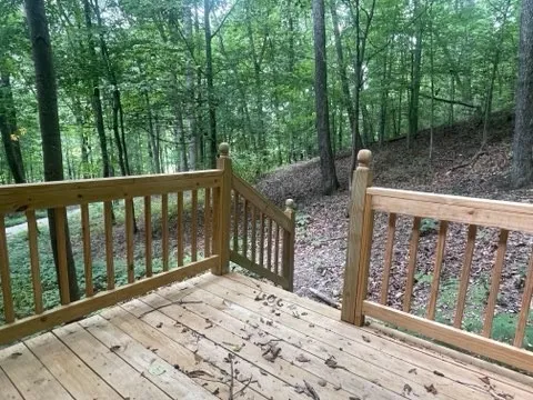 an aerial view of forest