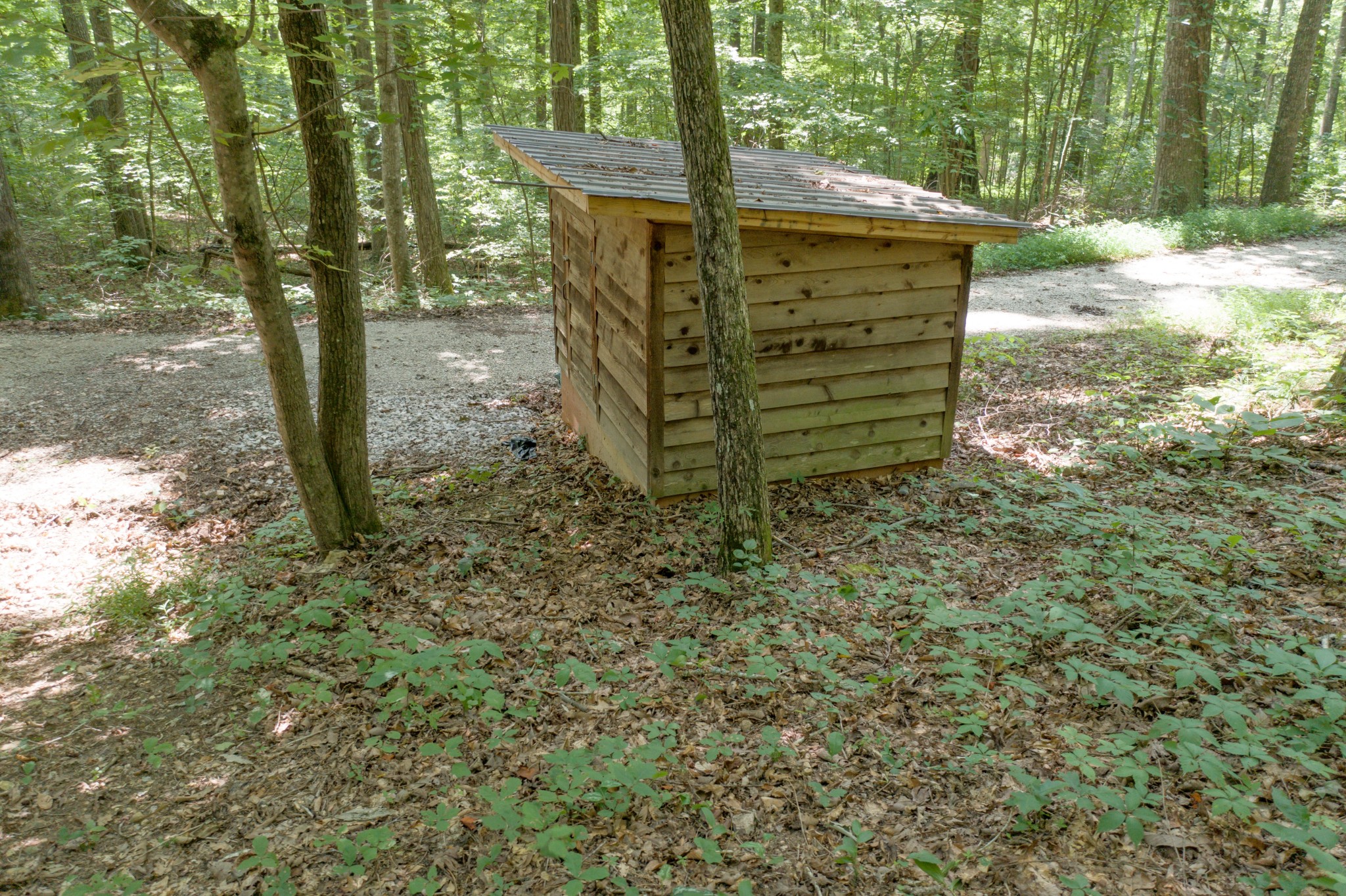551 Shippmans Creek Road Wartrace, TN 37183 - Photo 46 of 48 a view of a yard with plants