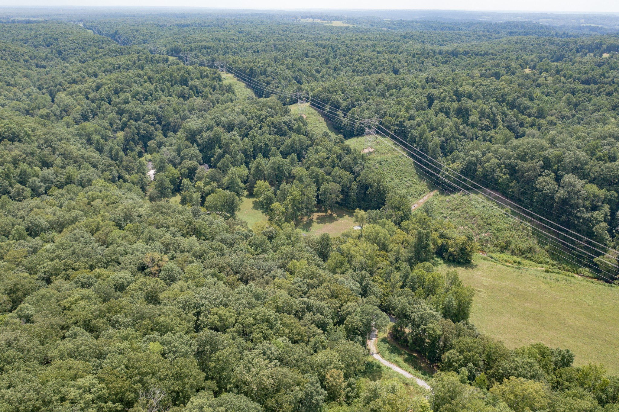 551 Shippmans Creek Road Wartrace, TN 37183 - Photo 47 of 48 an aerial view of forest