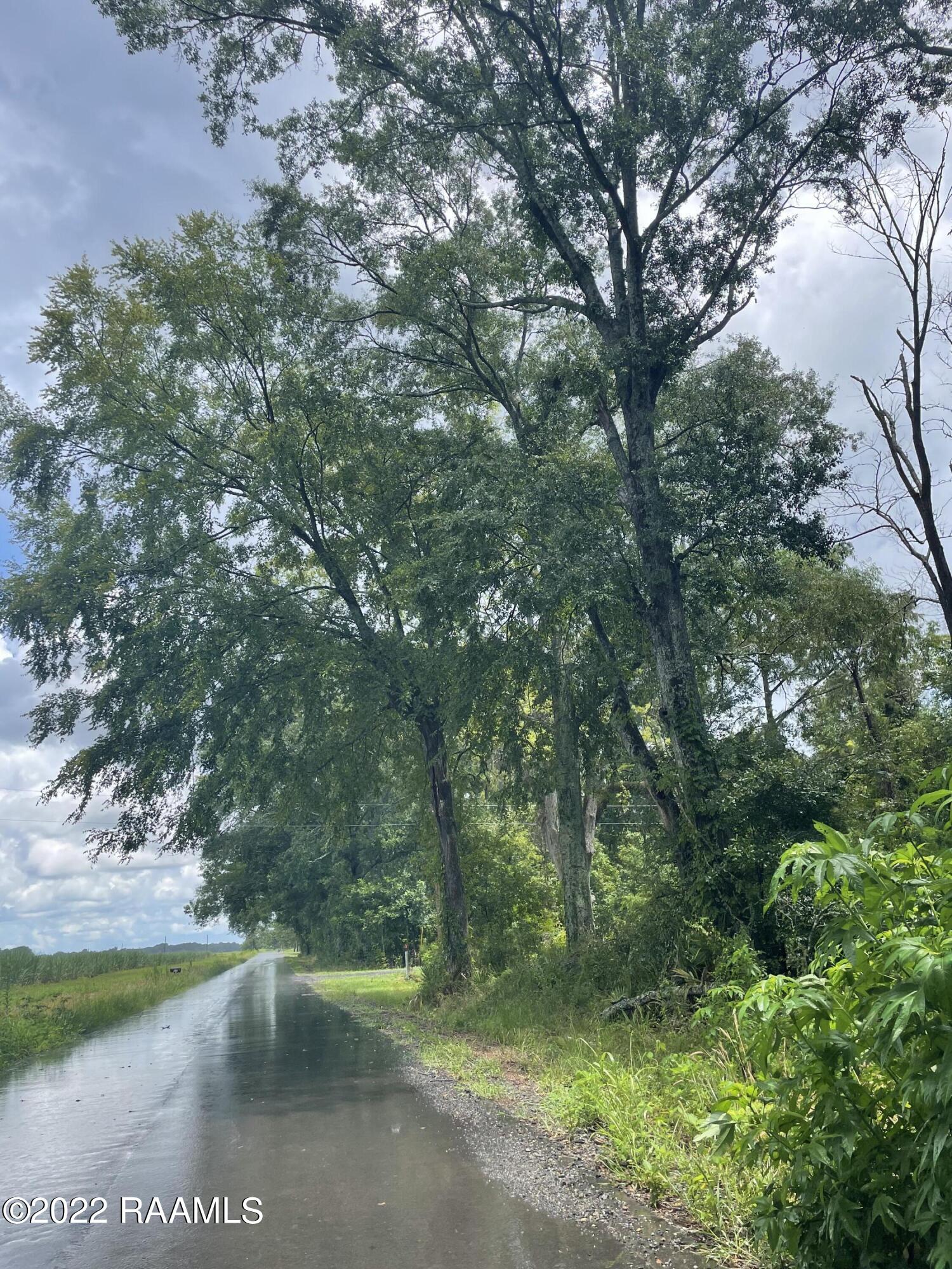 Tbd Dry Bayou Road Washington, LA 70589 - Photo 4 of 5 dry bayou 1