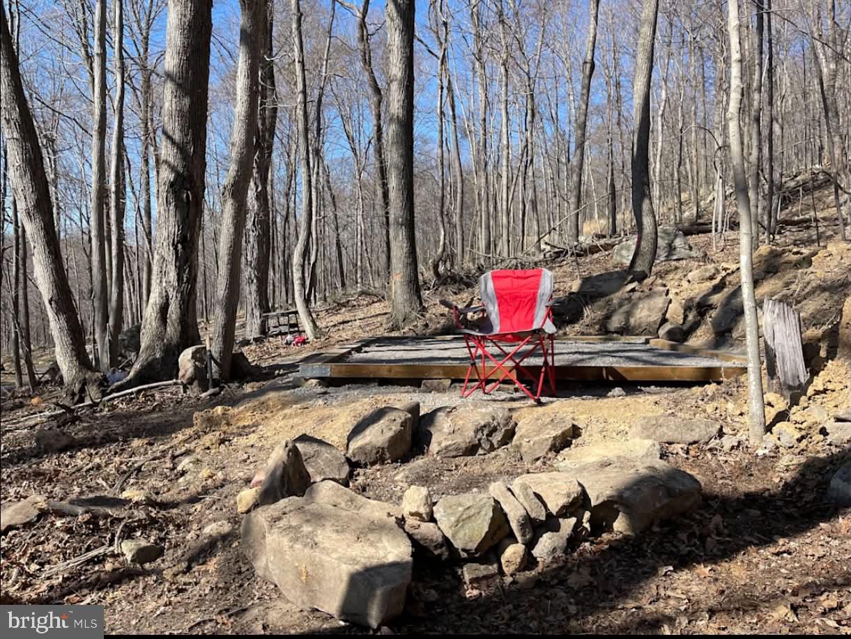 1515 Barnum Road Keyser, WV 26726 - Photo 25 of 64 Tent Site-w/Large Campfire Ring