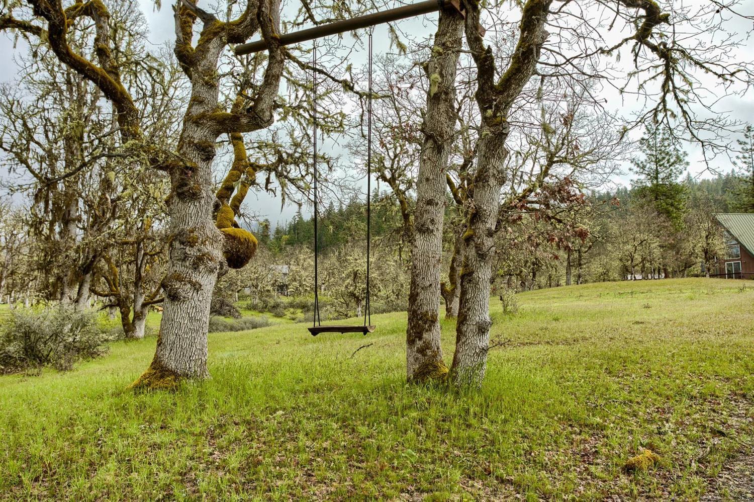 19822 Antioch Road White City, OR 97503 - Photo 21 of 28 Tree Swing