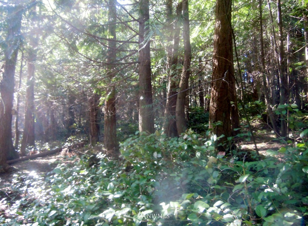 856 Port Stanley Road Lopez Island, WA 98261 - Photo 25 of 25