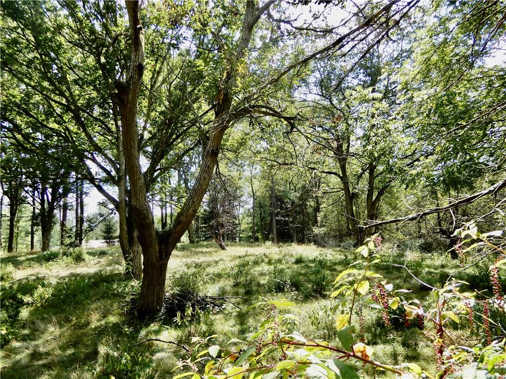 11 Country Club Road Grove City, PA 16127 - Photo 22 of 25 Gallery Image 22