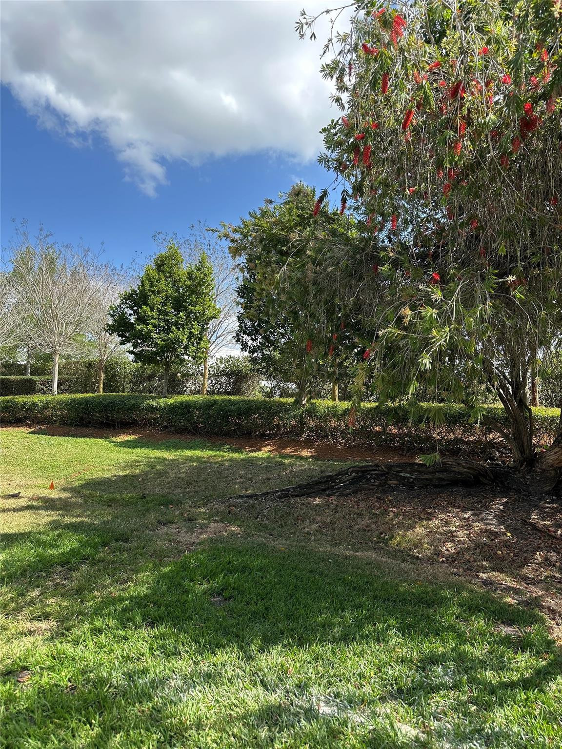 310 Racquet Club Road, Unit 103 Weston, FL 33326 - Photo 6 of 13 VIEW