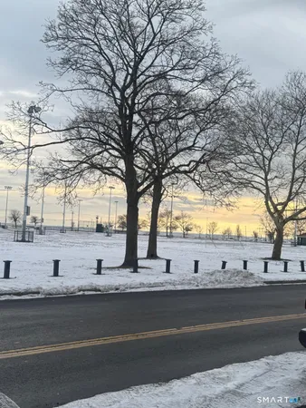a view of a yard with an trees