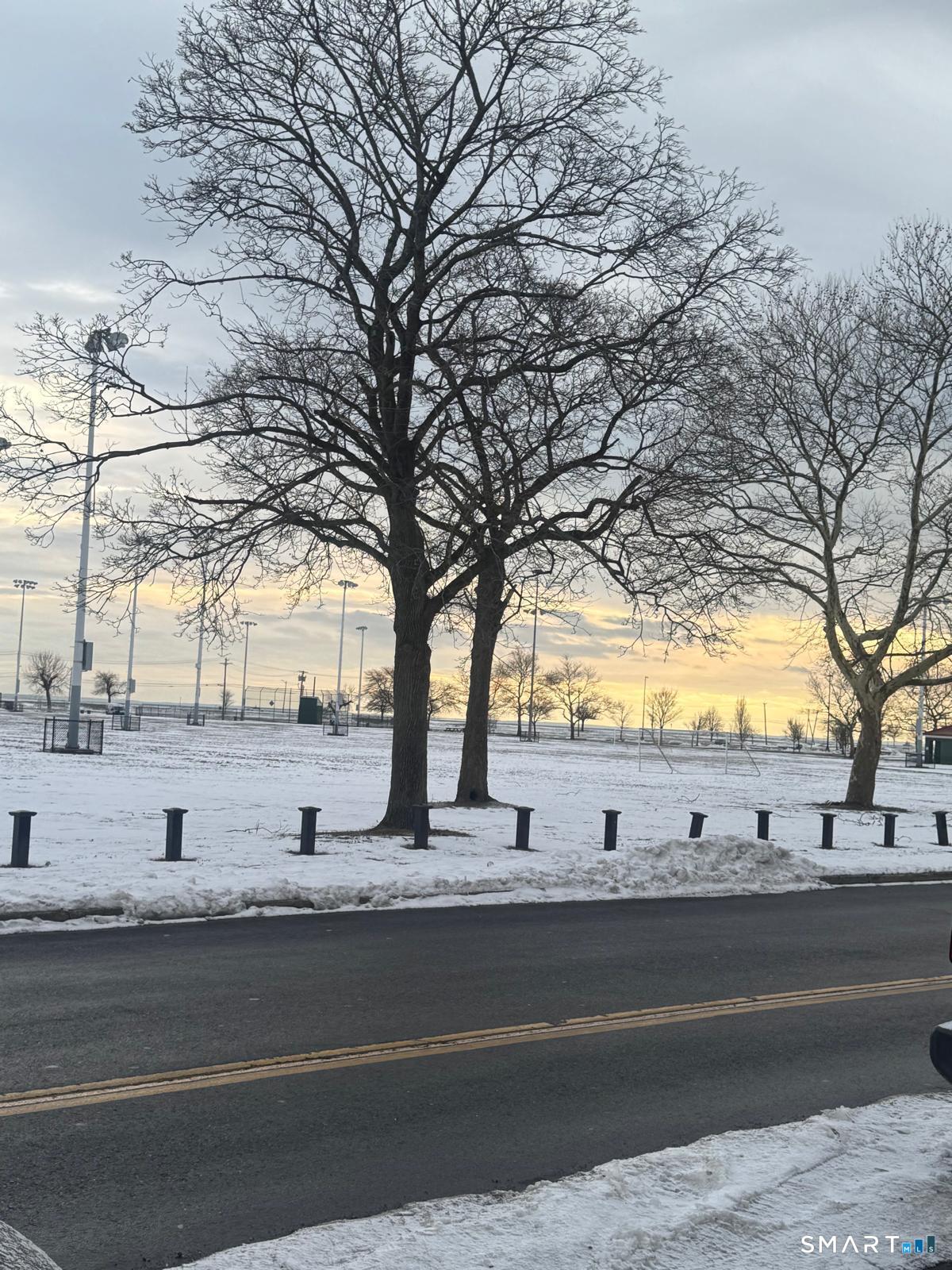 832 Atlantic Street, Unit 2A Bridgeport, CT 06604 - Photo 11 of 11 a view of a yard with an trees