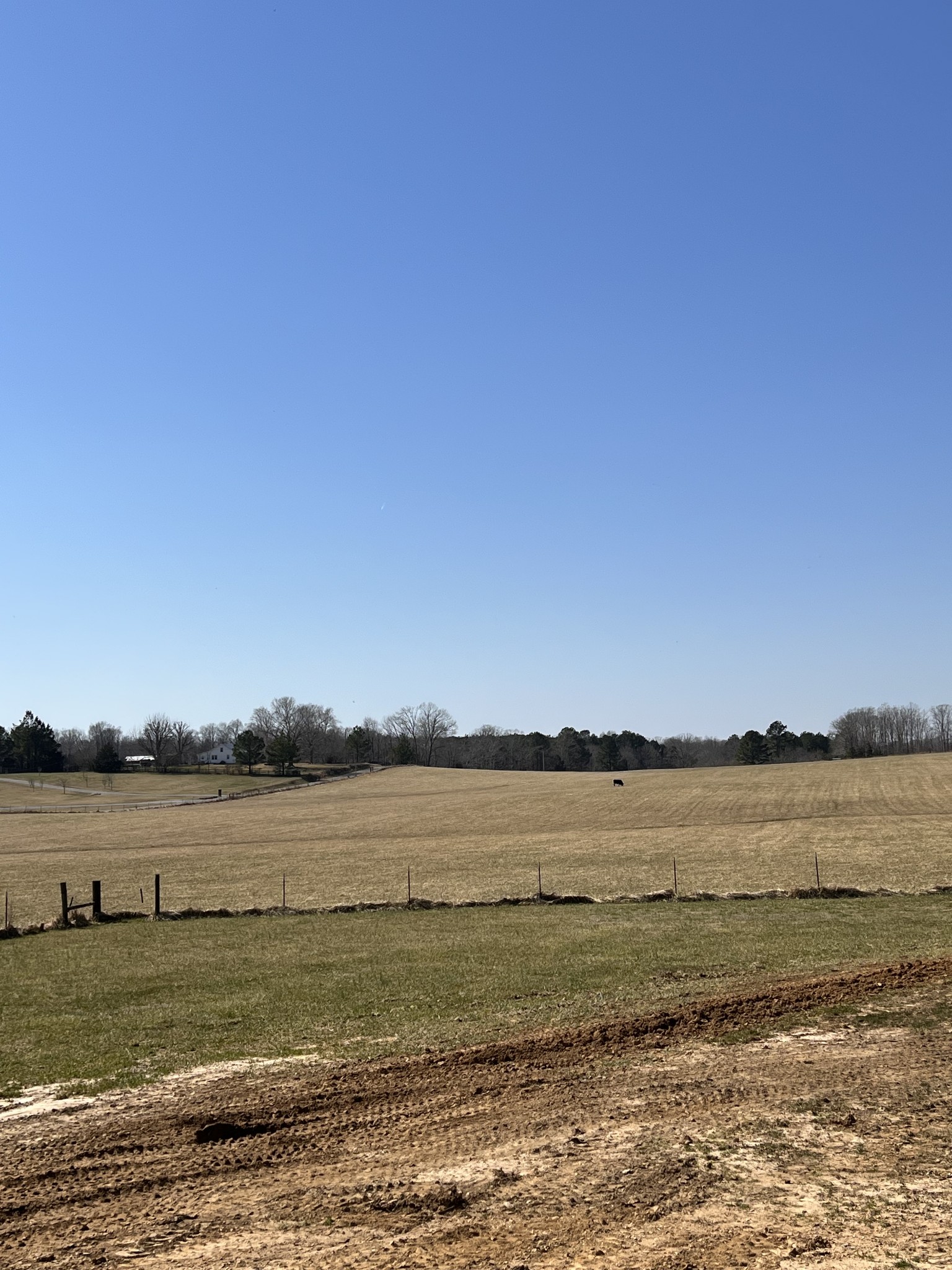 1364 Lecomte Road Dickson, TN 37055 - Photo 4 of 4 a view of an ocean beach