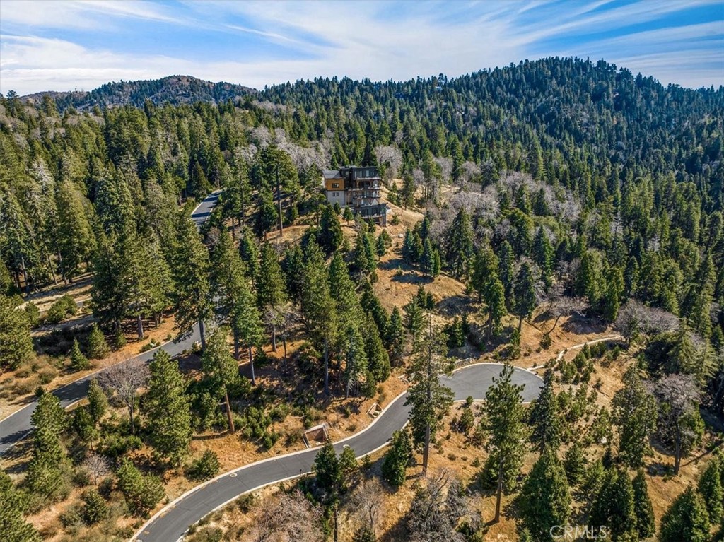 109 Mill Pond Road Lake Arrowhead, CA 92352 - Photo 14 of 43 a view of a city