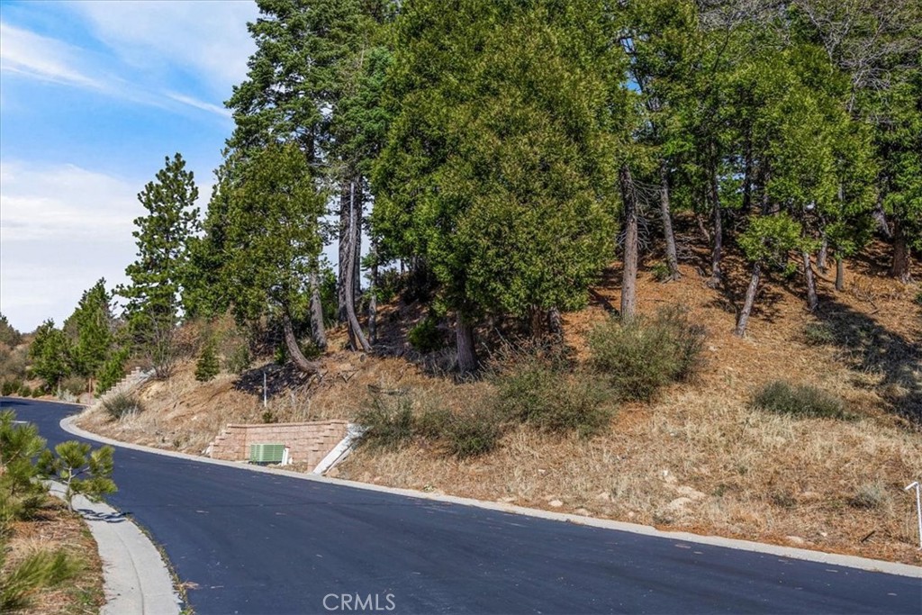 109 Mill Pond Road Lake Arrowhead, CA 92352 - Photo 38 of 43 a view of a yard with large tree