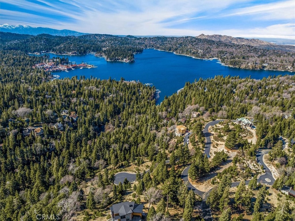 109 Mill Pond Road Lake Arrowhead, CA 92352 - Photo 5 of 43 a view of a city