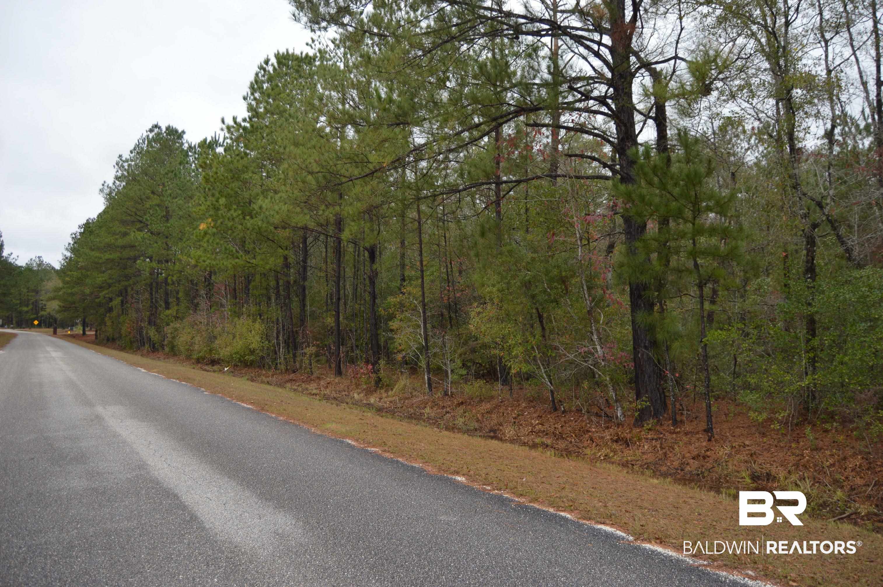 14 Marlin Street Stockton, AL 36579 - Photo 20 of 23 View of asphalt road with a forest view