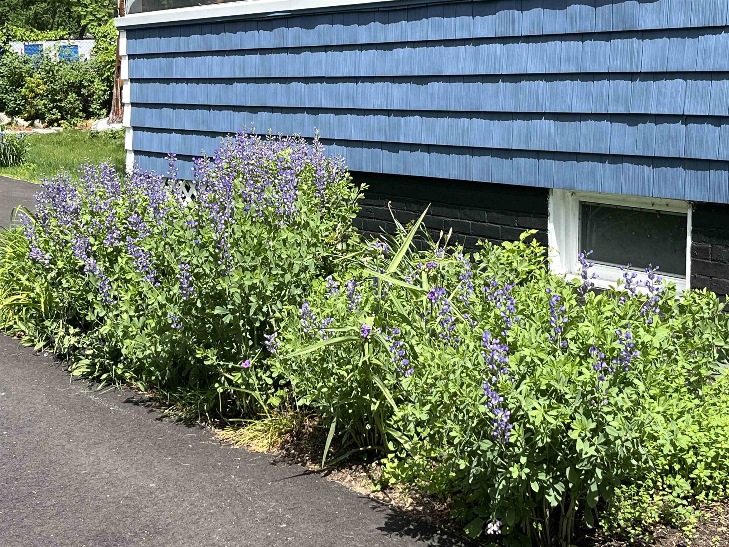 36 1/2 South Spring Street Concord, NH 03301 - Photo 30 of 36