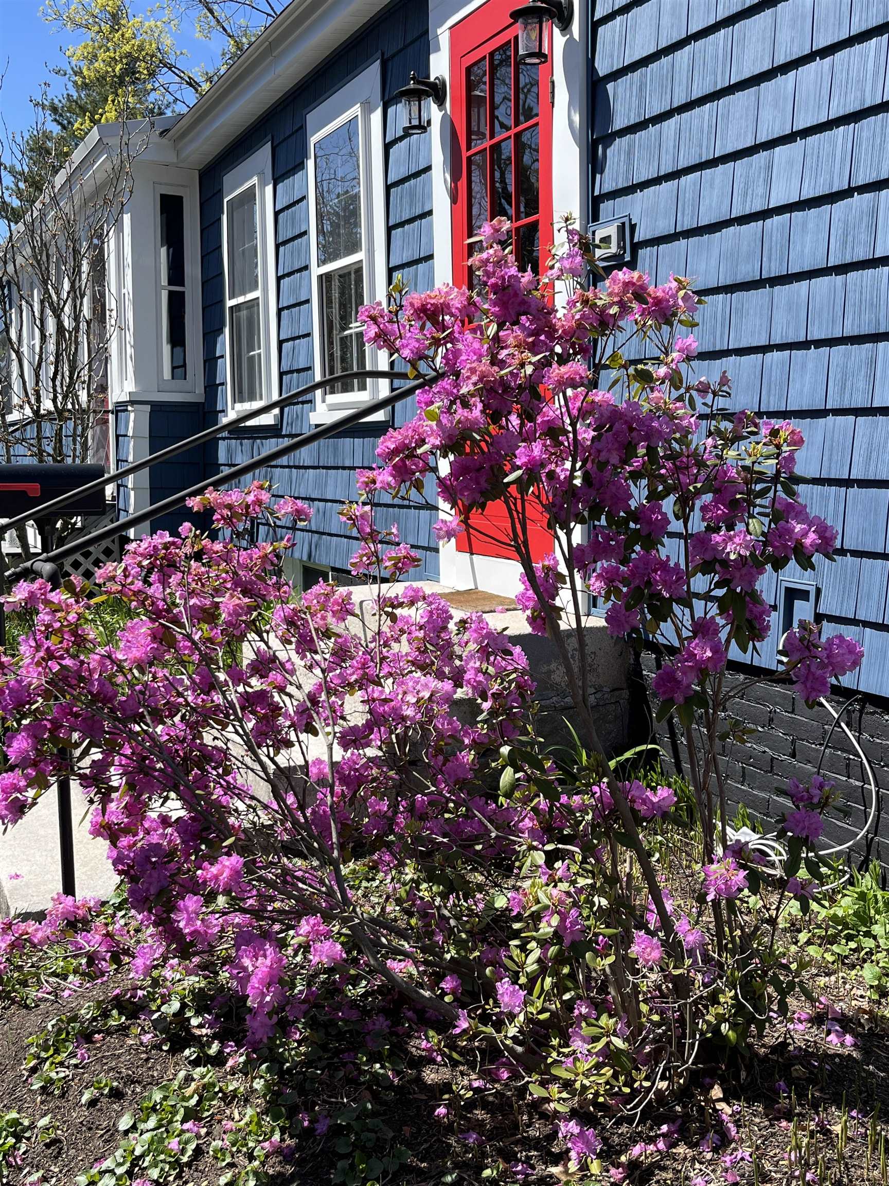 36 1/2 South Spring Street Concord, NH 03301 - Photo 31 of 36