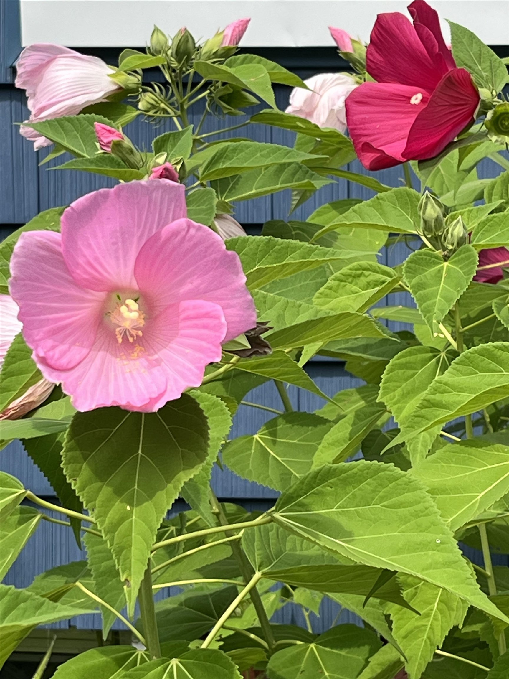 36 1/2 South Spring Street Concord, NH 03301 - Photo 34 of 36