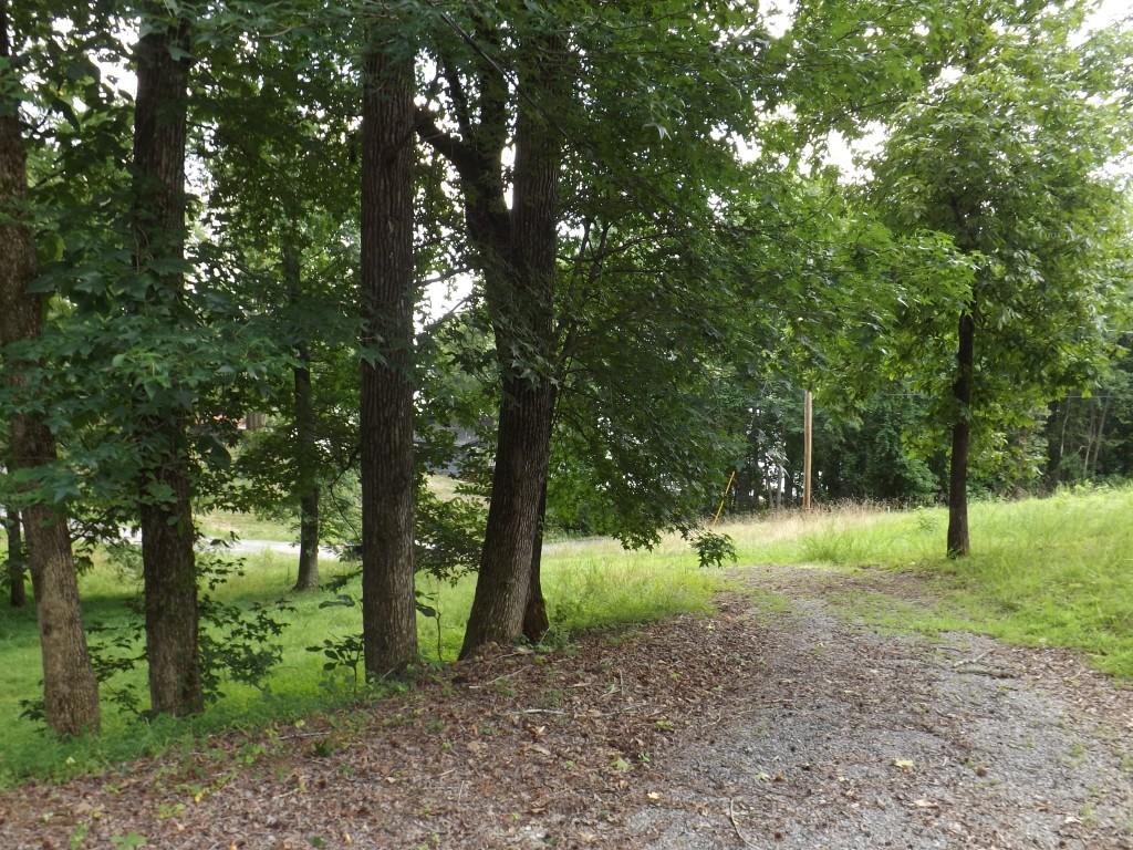 1694 Stump Hollow Road Spring City, TN 37381 - Photo 6 of 38 8-drive into property