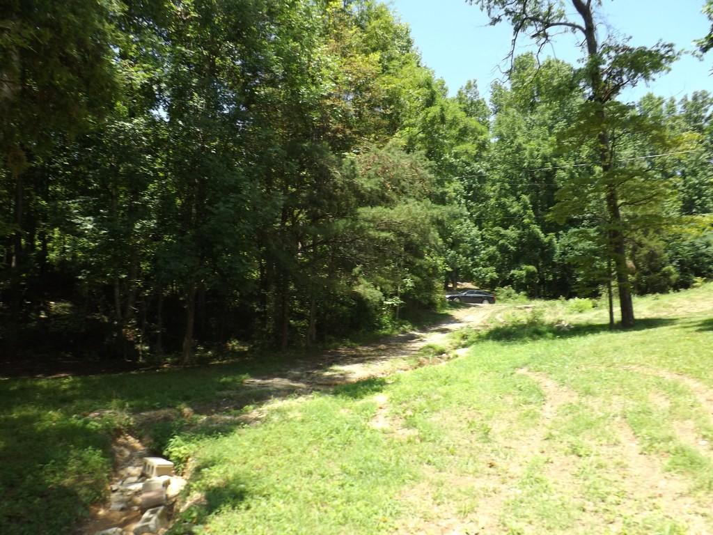 1694 Stump Hollow Road Spring City, TN 37381 - Photo 7 of 38 9-property