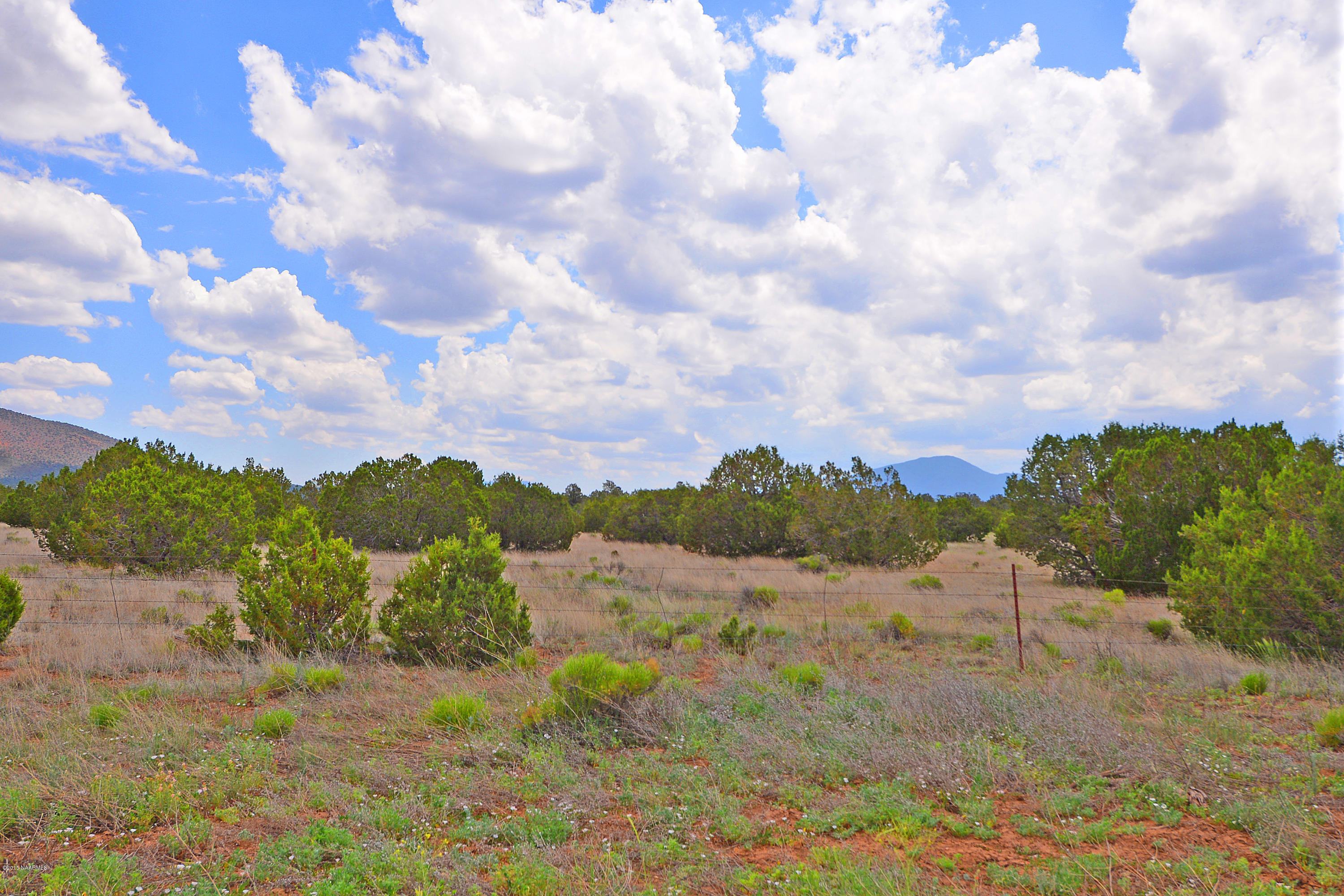 8317 North Red Lake Road Williams, AZ 86046 - Photo 1 of 2 3B