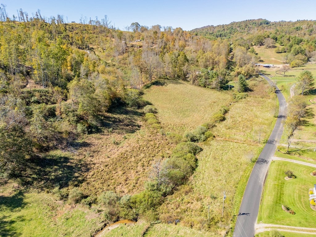 4-acres Carsonville Road Independence, VA 24348 - Photo 37 of 42 Gallery Image 37