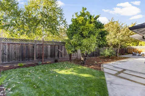 a view of a backyard with large trees and wooden fence