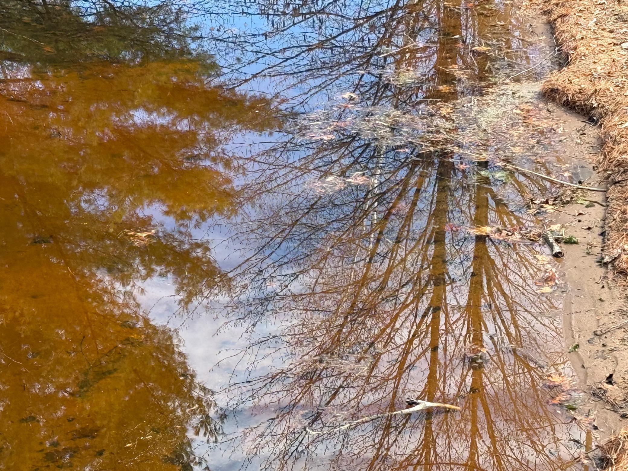 7778 Grindstone Landing Road Hayward, WI 54843 - Photo 13 of 22