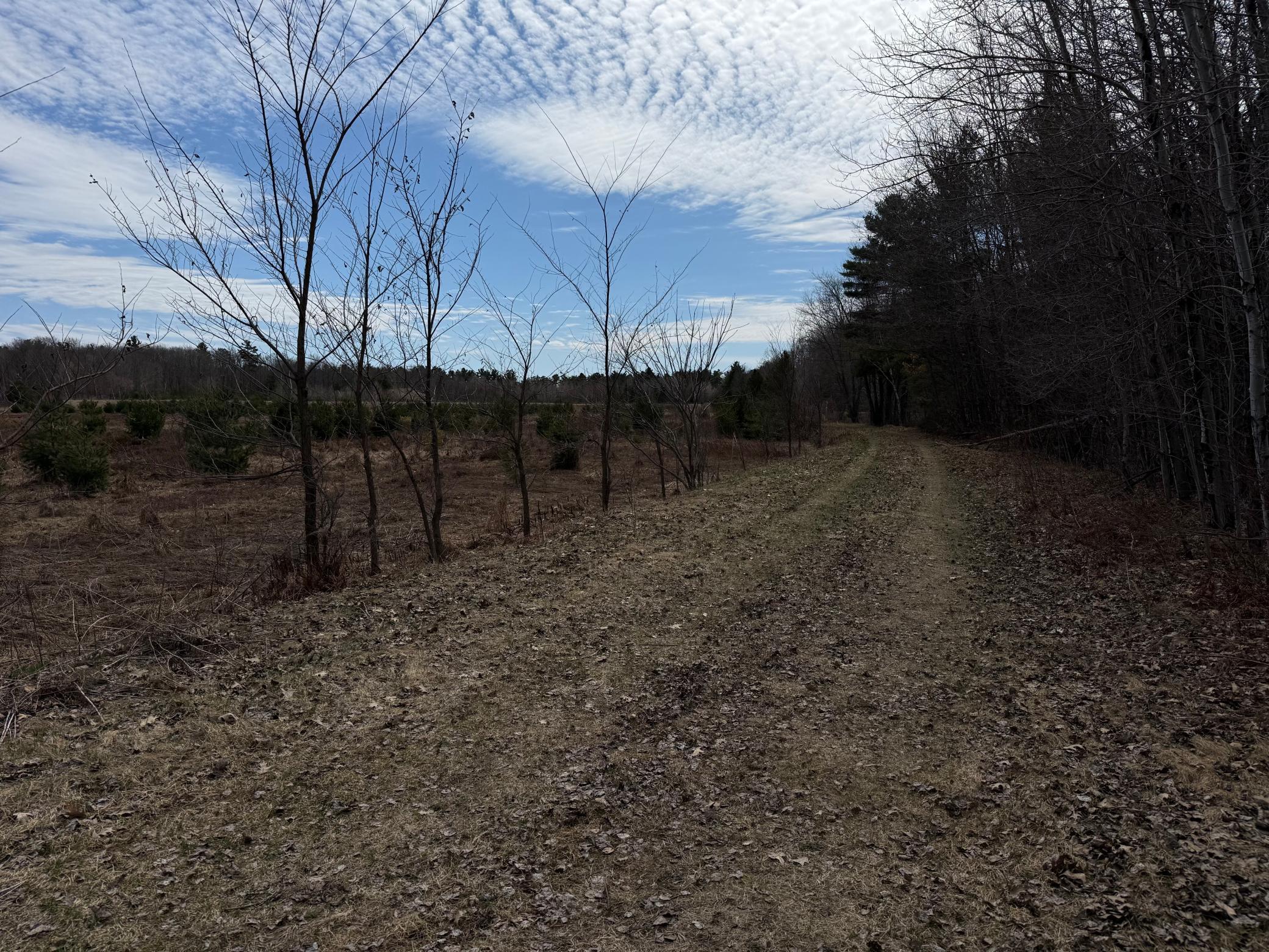 7778 Grindstone Landing Road Hayward, WI 54843 - Photo 15 of 22