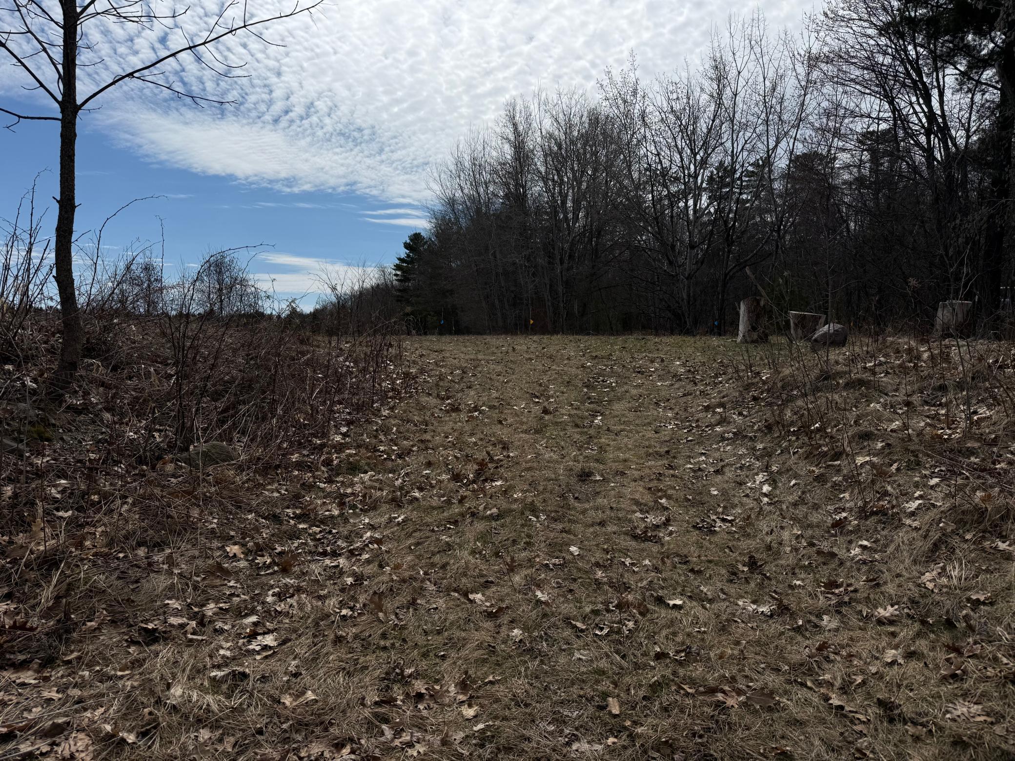 7778 Grindstone Landing Road Hayward, WI 54843 - Photo 8 of 22