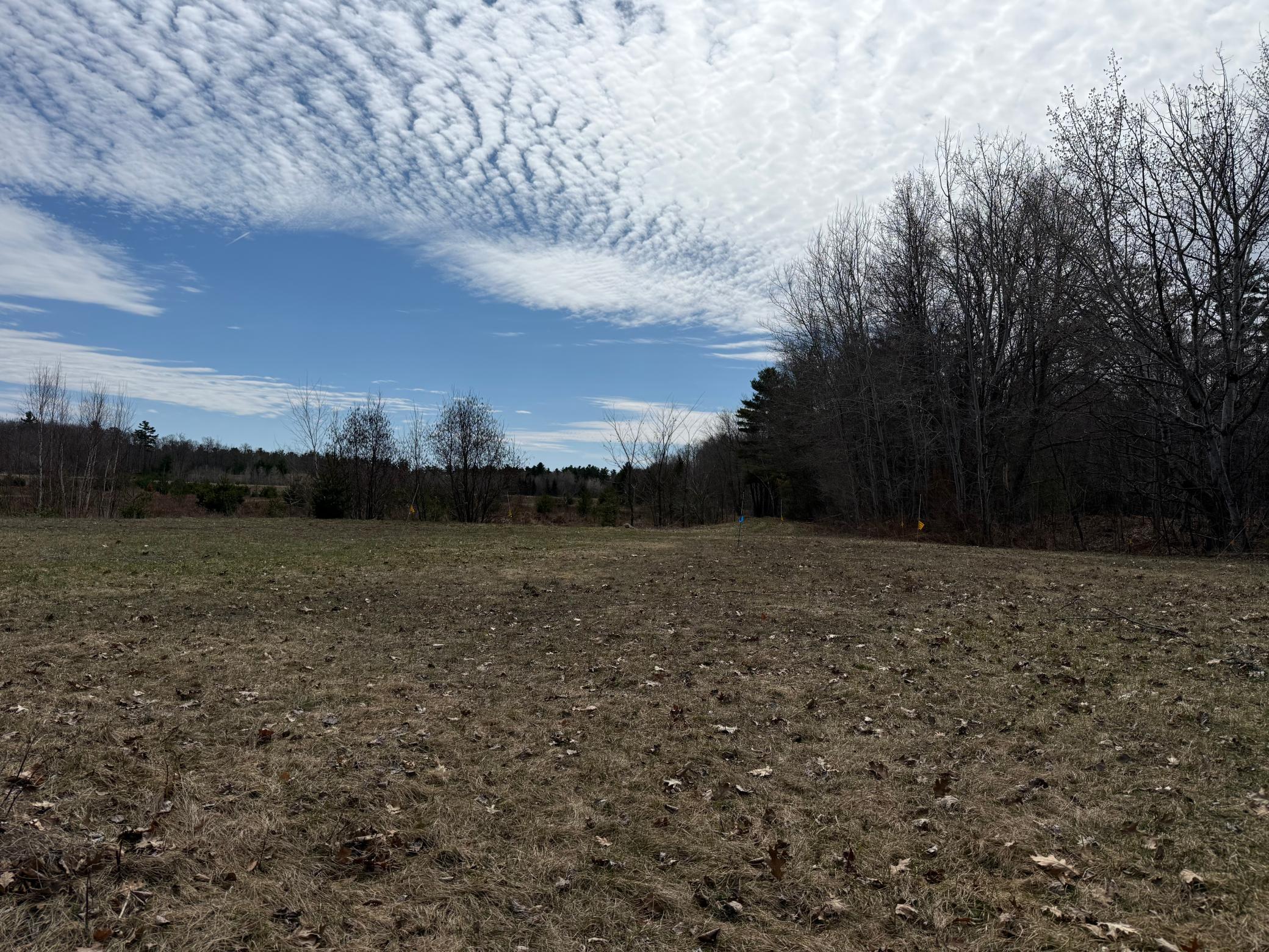 7778 Grindstone Landing Road Hayward, WI 54843 - Photo 9 of 22