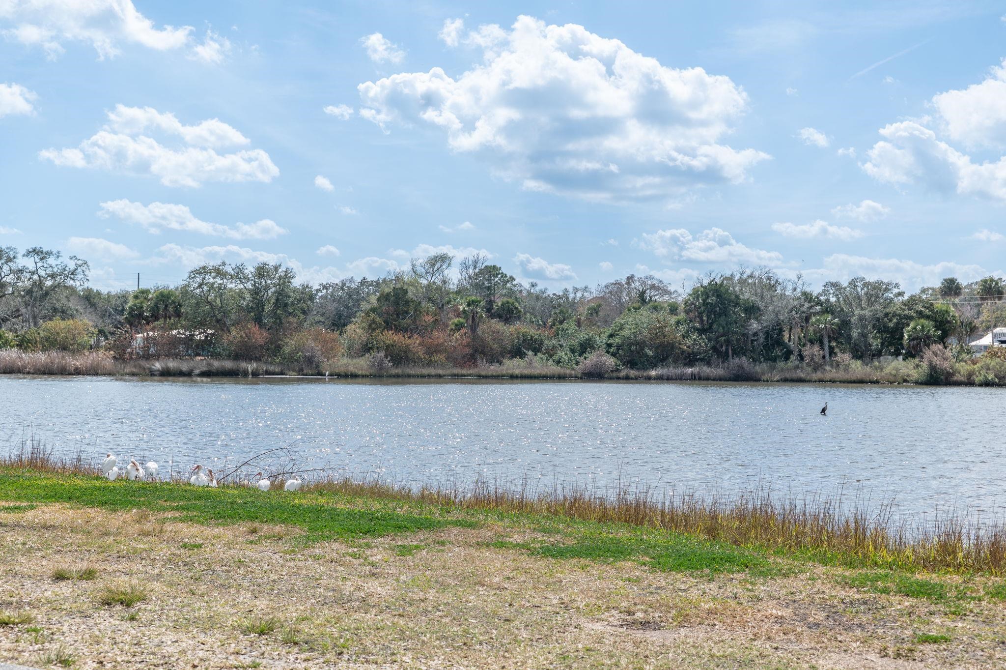 59 Lewis Boulevard St. Augustine, FL 32084 - Photo 41 of 75 Water view