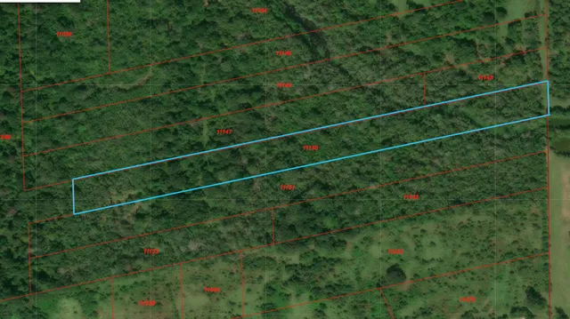 $42,925 | 0 County Road 184, Liberty, TX 77575