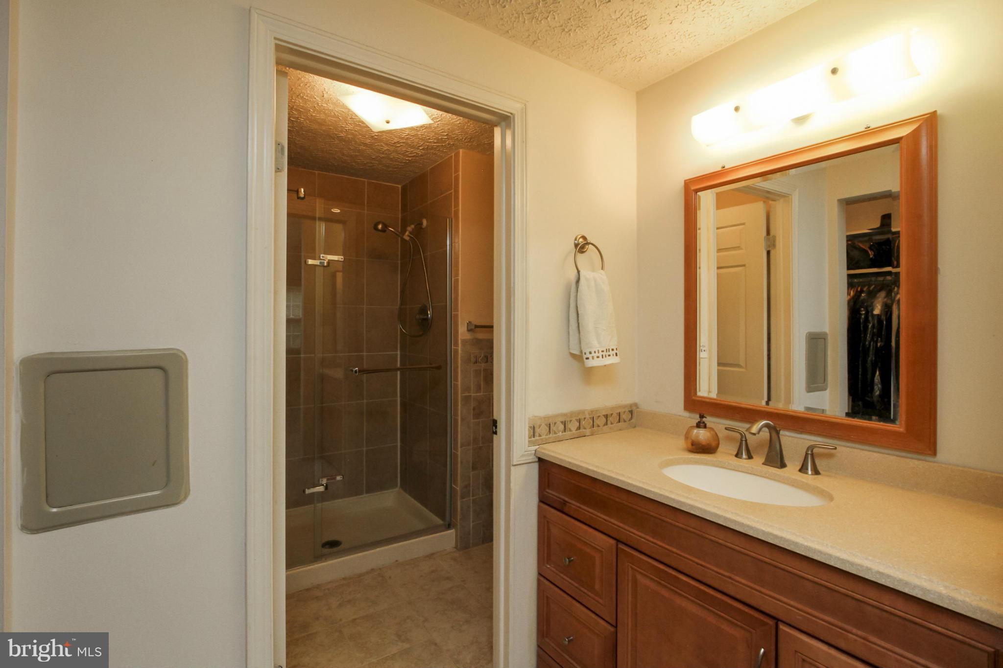 8000 Treasure Tree Court Springfield, VA 22153 - Photo 14 of 28 Bath (Master)
