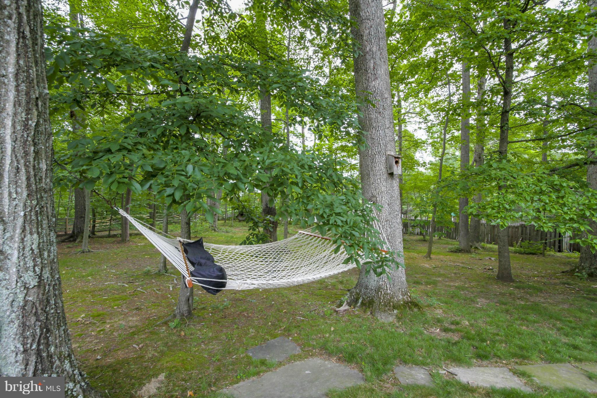 8000 Treasure Tree Court Springfield, VA 22153 - Photo 25 of 28 View