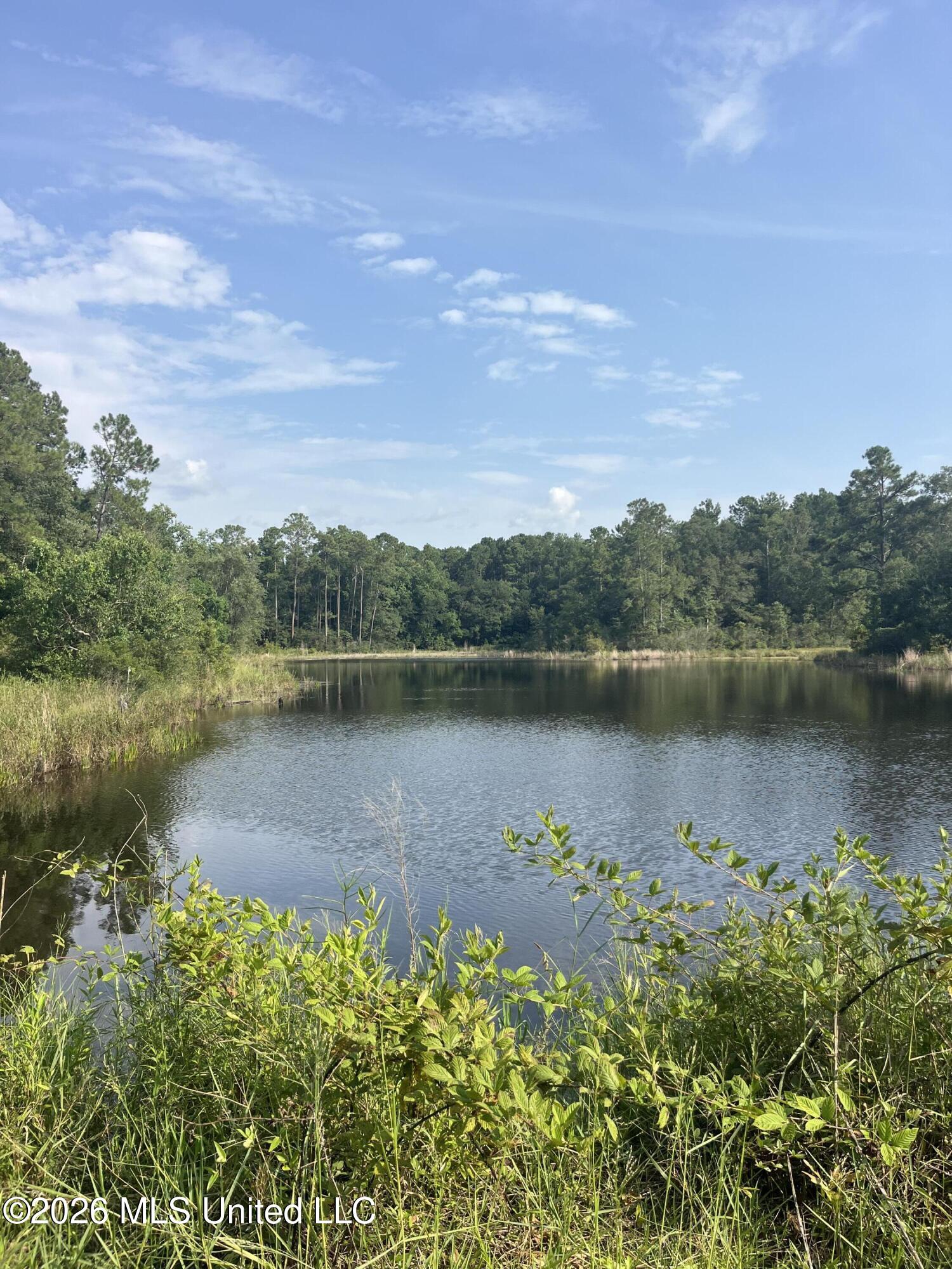 0 Crane Creek Road Perkinston, MS 39573 - Photo 12 of 17 IMG_4998