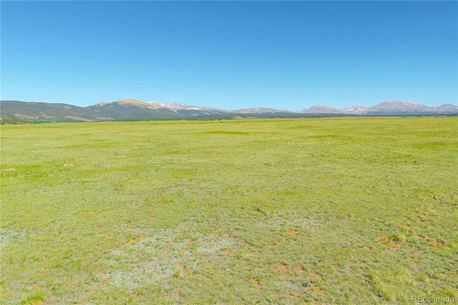 1321 Lakeview Road Fairplay, CO 80440 - Photo 15 of 42