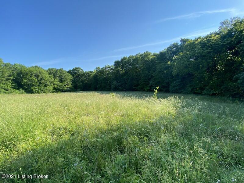 201 A Fox Run Road Caneyville, KY 42721 - Photo 2 of 14 201 Fox Run Road Tract A