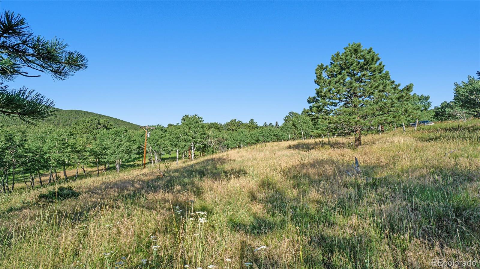 Old Squaw Pass Road Evergreen, CO 80439 - Photo 9 of 10 Gallery Image 9