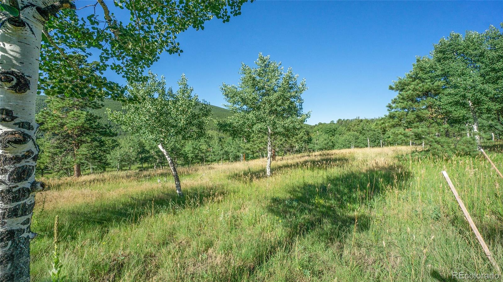 Old Squaw Pass Road Evergreen, CO 80439 - Photo 10 of 10 Gallery Image 10