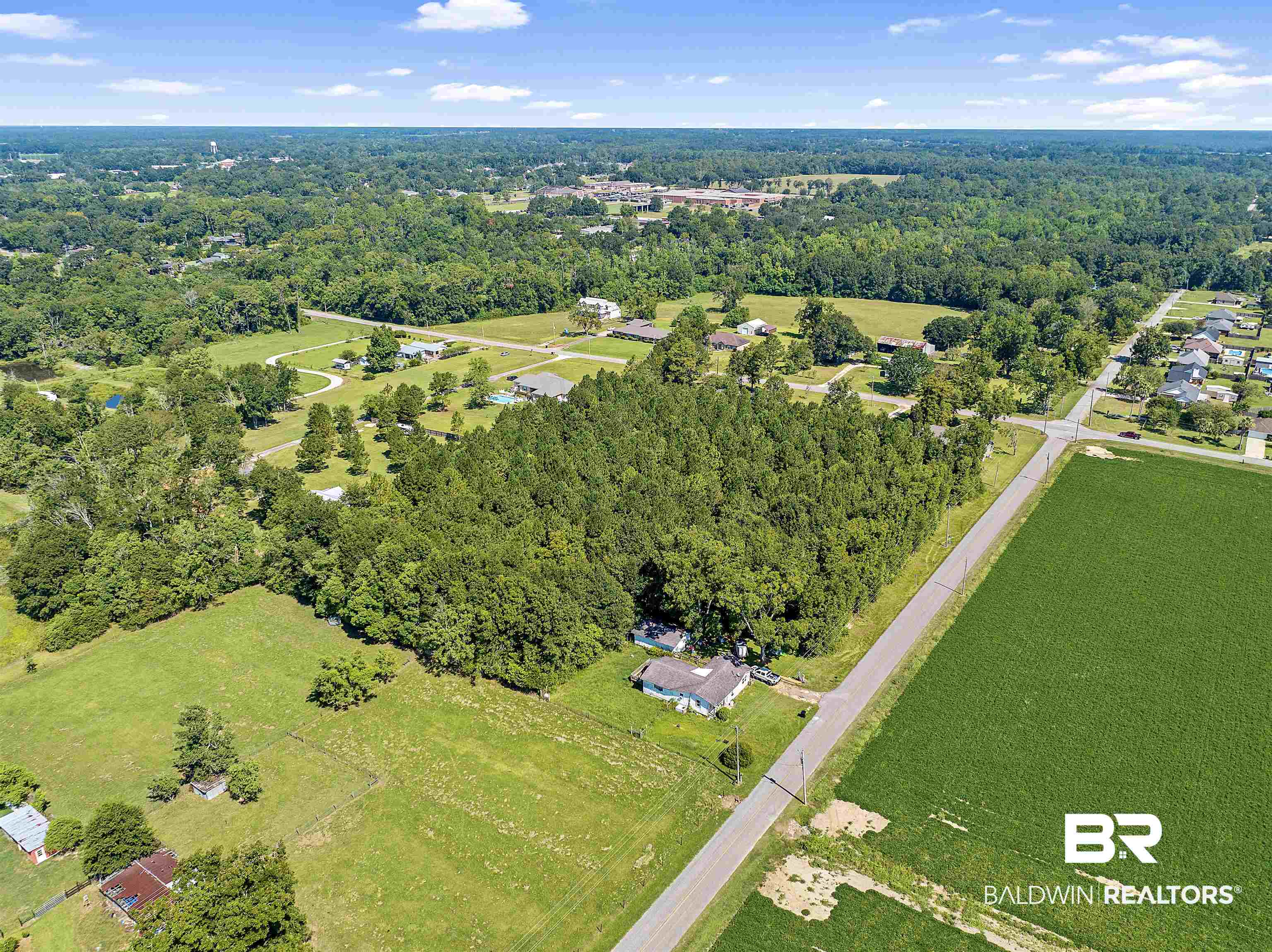 0 County Road 83 Robertsdale, AL 36567 - Photo 4 of 18