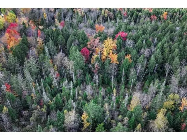 $59,000 | 1021 Woods Road, Warren, VT 05674