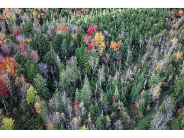 $59,000 | 1021 Woods Road, Warren, VT 05674