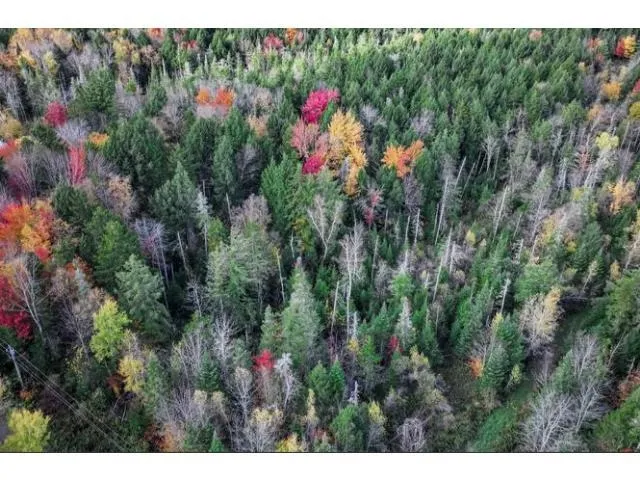 $59,000 | 1021 Woods Road, Warren, VT 05674