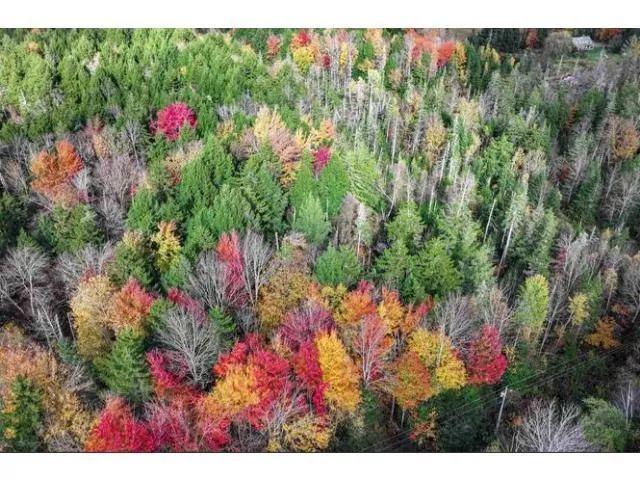 $59,000 | 1021 Woods Road, Warren, VT 05674