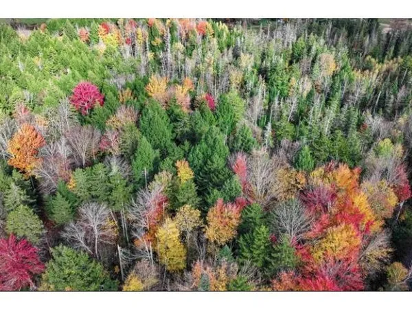 $59,000 | 1021 Woods Road, Warren, VT 05674