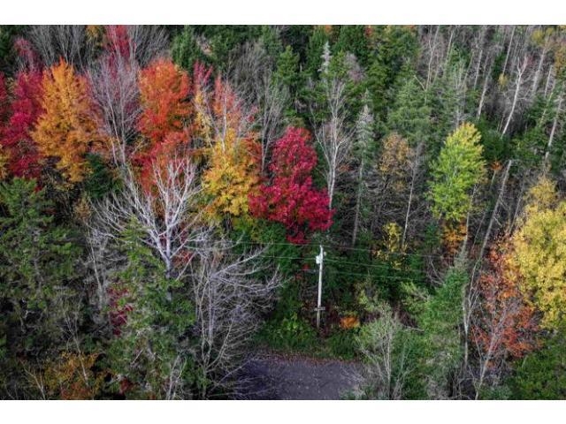 1021 Woods Road Warren, VT 05674 - Photo 17 of 21